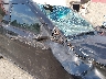 1FM5K8AR1DG****** Repairable 2013 Ford Utility Police Interceptor in Maine State