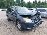 JTMBF4DVXAD****** Salvamento y Reparables 2010 Toyota RAV4 en Templeton