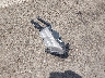 5XXGR4A66EG****** Wrecked 2014 Kia Optima in Mississippi State