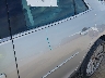 1G11C5SL7FF****** Salvamento y Reparables 2015 Chevrolet Malibu en Tampa