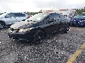 2HGFG3B58DH****** Usados y Reparables 2013 Honda Civic en West Palm Beach