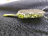 3KPF24AD4KE****** Salvage 2019 Kia Forte in Florida State
