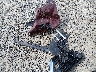 3N1AB8CVXRY****** Reparables 2024 Nissan Sentra
