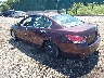5KBCP3F80AB****** Salvage and Repairable 2010 Honda Accord in Long Island