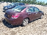 5KBCP3F80AB****** Salvage and Wrecked 2010 Honda Accord in New York State
