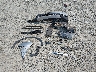 7FARW2H80JE****** Wrecked 2018 Honda CR-V in Washington State