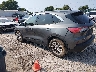 1FMCU0G60MU****** Salvamento y Reparables 2021 Ford Escape en Bowling Green