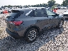 1FMCU0G60MU****** Salvamento y Destrozados 2021 Ford Escape en Estado de Kentucky