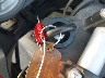 WB10317A55Z****** Salvage 2005 BMW R 1200 GS in Louisiana State