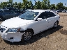 4T1BB46K59U****** Usados y Reparables 2009 Toyota Camry Hybrid en Cincinnati