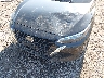 3N1AB8CV3RY****** Salvage and Repairable 2024 Nissan Sentra in New York State