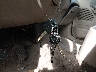 1FTRW08L01K****** Salvage 2001 Ford F-150 in Maryland State