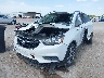 KL4CJASB7MB****** Salvamento y Reparables 2021 Buick Encore en Estado de Texas