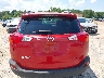 JTMBFREV5FD****** Wrecked 2015 Toyota RAV4