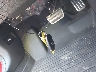 19XFL1H81NE****** Salvage 2022 Honda Civic in Ohio State