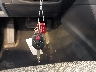 JF2GTAPC8M8****** Salvamento 2021 Subaru Crosstrek en Estado de Michigan