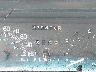 1G4CW52K4SH****** Salvage 1995 Buick Park Avenue