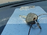2T1KR32E26C****** Salvamento 2006 Toyota Matrix en Estado de Ohio