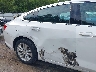 1G1ZE5ST1GF****** Salvamento y Reparables 2016 Chevrolet Malibu en Estado de Michigan