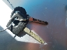 107044120***** Salvage 1980 Mercedes-Benz 400 Series in California State