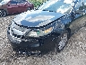 19UUA8F25CA****** Salvamento y Destrozados 2012 Acura TL en Orlando