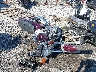 JH2RC1305FM****** Salvamento y Destrozados 1985 Honda Cb650 en Philadelphia