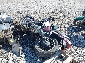 JH2RC1305FM****** Salvamento y Reparables 1985 Honda Cb650 en Philadelphia
