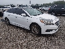 5NPE34AF2FH****** Salvamento y Destrozados 2015 Hyundai Sonata en Lexington