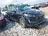 1FMCU9H67MU****** Salvamento y Destrozados 2021 Ford Escape en Indianapolis