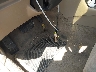 1HGCD5639VA****** Salvamento 1997 Honda Accord en Estado de Texas