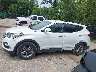 5NMZU3LB7HH****** Reparables 2017 Hyundai Santa Fe en Estado de Kansas