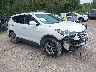 5NMZU3LB7HH****** Salvamento y Destrozados 2017 Hyundai Santa Fe en Kansas City