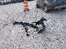 2C3CDYAG3DH****** Destrozados 2013 Dodge Challenger en Estado de Missouri