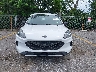 1FMCU0F6XLU****** Wrecked 2020 Ford Escape in Florida State