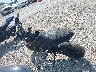 JKABRRJ15HD****** Usados 2017 Kawasaki Z125 PRO en Estado de Illinois