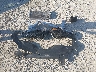1C4PJMLB8KD****** Destrozados 2019 Jeep Cherokee en Estado de Ohio