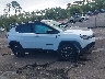 3C4NJDDN3ST****** Used 2025 Jeep Compass in Florida State