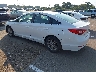 5NPE24AFXGH****** Salvage and Repairable 2016 Hyundai Sonata in Memphis