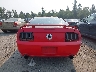 1ZVHT82H365****** Destrozados 2006 Ford Mustang