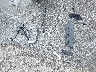 5UXKR0C50H0****** Wrecked 2017 BMW X5 in Missouri State