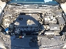 KMHD84LF3HU****** Reparables 2017 Hyundai Elantra en Raleigh