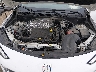 KL4AMBS23RB****** Reparables 2024 Buick Encore en Billings