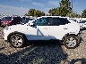 KL4AMBS23RB****** Usados 2024 Buick Encore