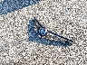 5YFBURHE7GP****** Wrecked 2016 Toyota Corolla in Indiana State