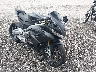 ZD4KSUG07PS****** Used 2023 Aprilia Rs in Florida State