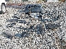 1C4PJMCS3HW****** Wrecked 2017 Jeep Cherokee in Washington State