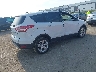 1FMCU0GXXEU****** Salvamento y Destrozados 2014 Ford Escape en Estado de Texas