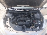 4S4BSBNC8G3****** Repairable 2016 Subaru Outback in Little Rock
