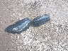 5LMCJ2D97MU****** Wrecked 2021 Lincoln Corsair in Wisconsin State