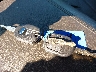 1FT8W3BT9CE****** Salvage 2012 Ford F-350 in Florida State